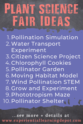 Plant project science fair ideas that are easy and fun adaptable to a variety of ages and skill levels. This is an infographic with a list of the science fair ideas posted in this blog.