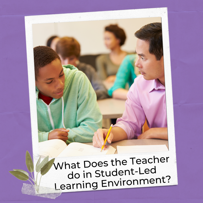 What does the teacher do an interest-based learning classroom blog post.