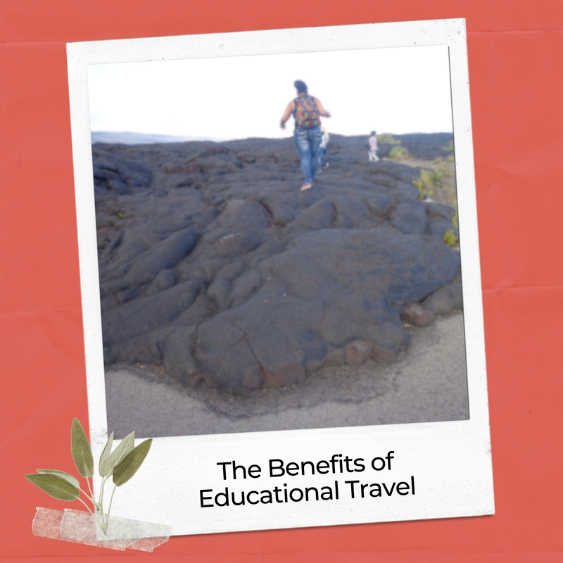 Project benefits of educational travel experiences 