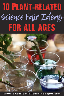 Plant project science fair ideas that are easy and fun blog post cover