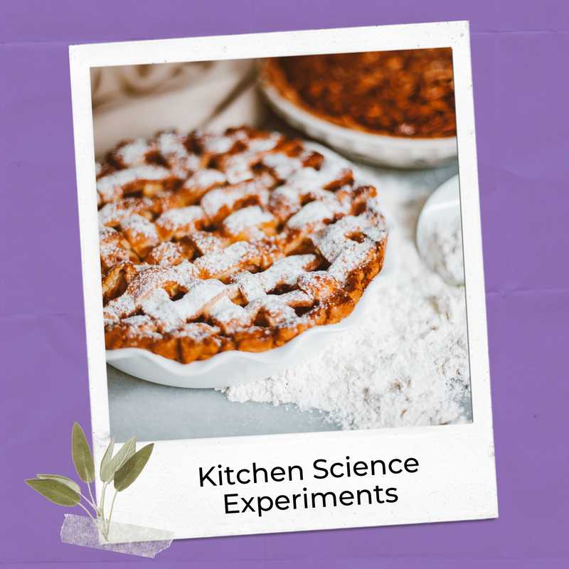 End of year science activity ideas related to kitchen experimentation.