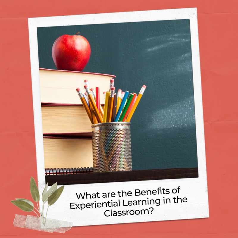 Experiential learning is an exciting step in transitioning away from traditional teaching methods and toward real-world, personalized learning experiences . Are you ready for it? Check out this questionnaire. If you're still not quite sure, check out this blog post on the benefits and importance of adding experiential learning to your classroom curriculum.