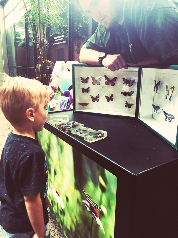 20 Citizen Science Projects for Students of All Ages by Experiential Learning Depot - this is a photo of the citizen science program, Butterflies and Moths of North America.