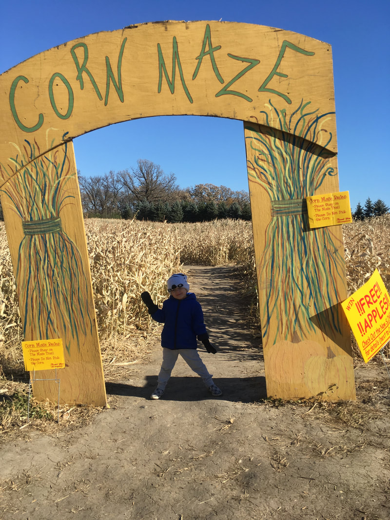 A preschooler at the entrance of a corn maze.