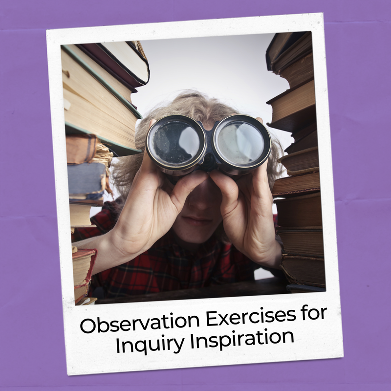 observation exercise examples of inquiry-based learning