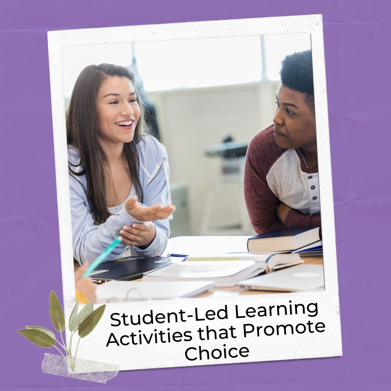 What are student-led learning activities that promote choice?