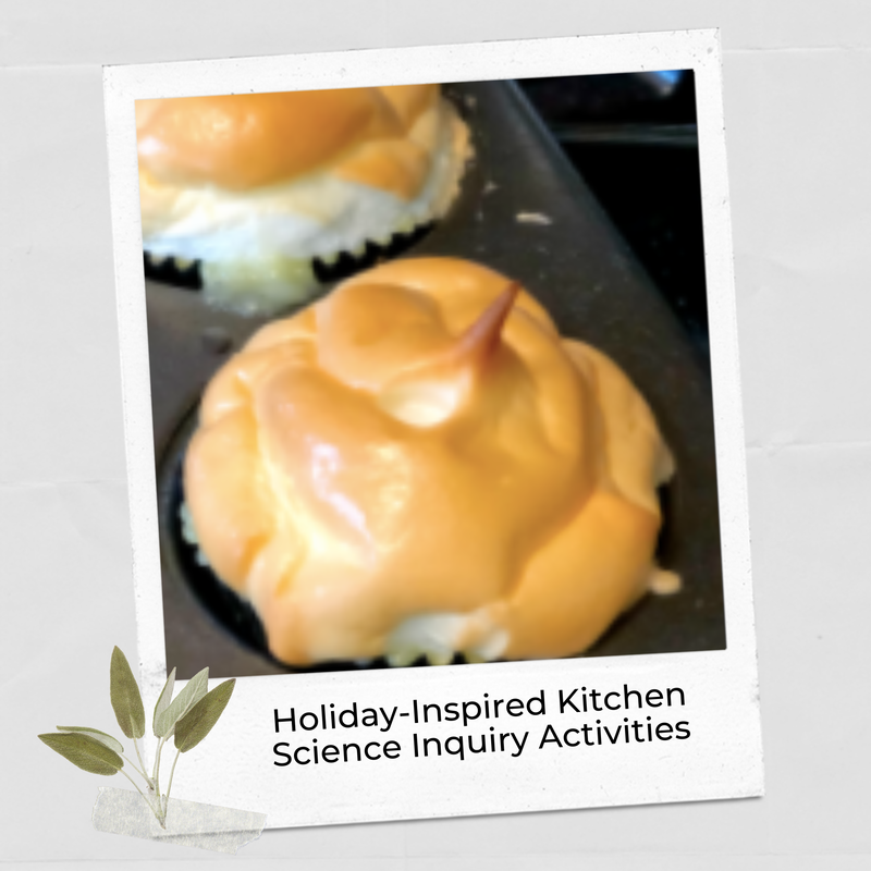 Kitchen science experiential learning activities for the holidays blog post.