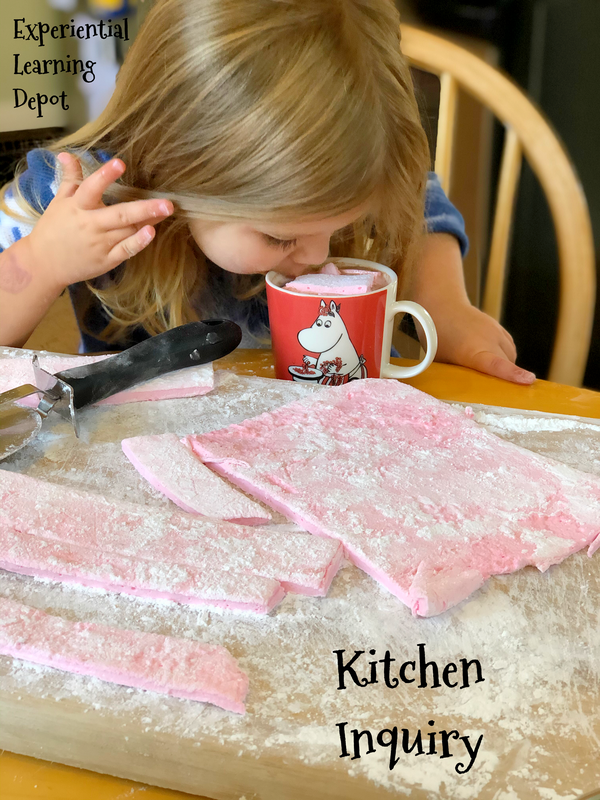 Marshmallows are a fun and easy kitchen science experiment for winter and summer! This photo shows us experimenting with gelatin.