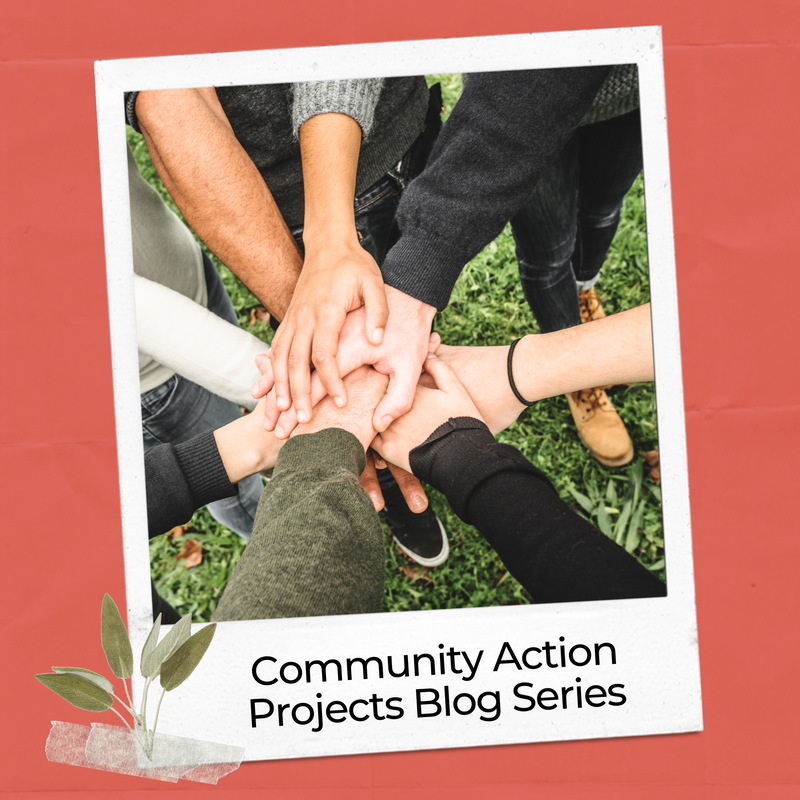 Problem-based learning community action project blog series