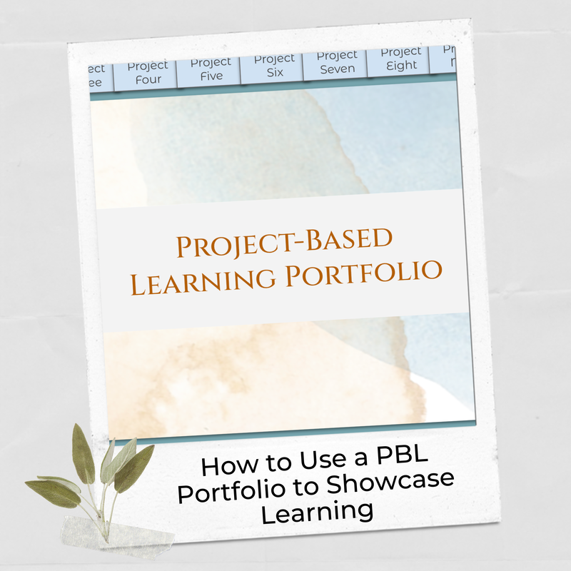 How to use project-based learning portfolios such as the one included in the portfolio student example, to amplify and deepen PBL experiences.