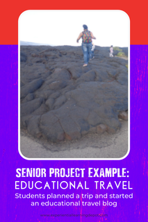 High School senior project example: travel agent career