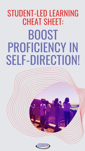 The benefits of self-directed learning are realized when you have some simple strategies in place to help students build proficiency in self-direction. Grab this free cheat sheet to get started.