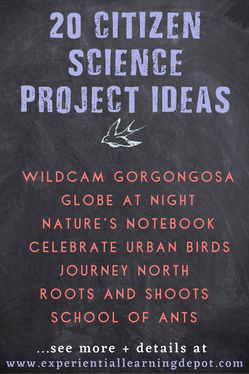 Citizen science is a great way to get high school students involved in authentic and deep learning, especially when paired with project-based learning approach. Check out this list of my favorite citizen science projects to do with high school students.