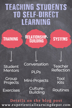 Teaching self-directed learners to self-direct infographic