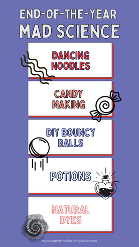 End of year science activity ideas about mad science infographic
