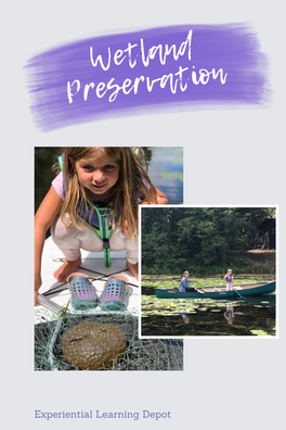 Wetland preservation example of project-based learning.