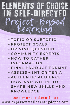 What are project-based learning choices that self-directed learners get? Infographic.