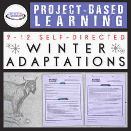 Experiential fall learning activities: winter adaptations PBL
