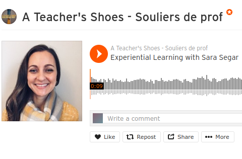 Experiential Learning Depot's, Sara Segar, was a guest on the podcast, A Teacher's Shoes, to talk about experiential learning .
