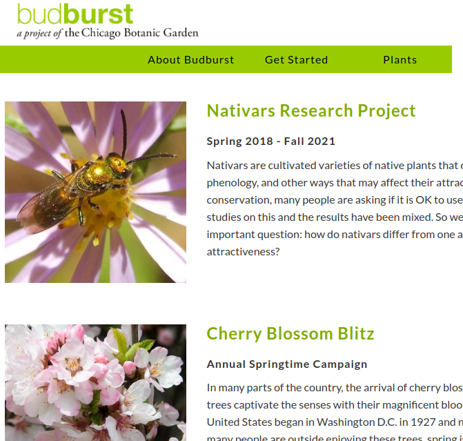 20 Citizen Science Projects for Students of All Ages by Experiential Learning Depot - this is a photo of the citizen science program, Project BudBurst.