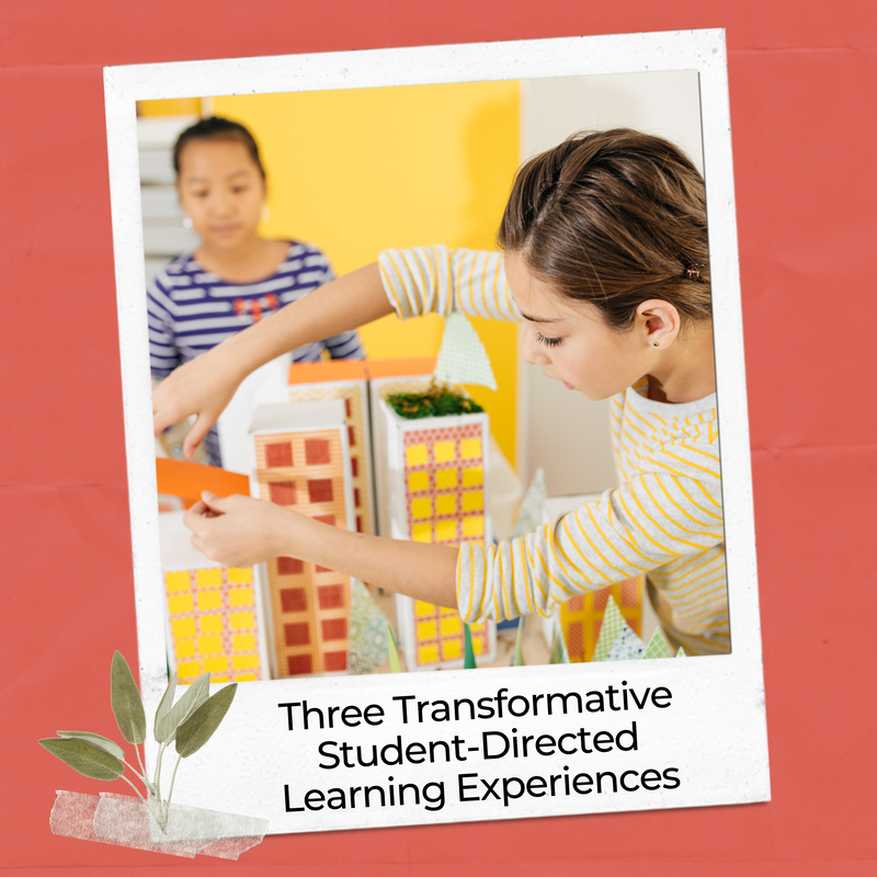Transformative learning types for student-led learning classroom environment