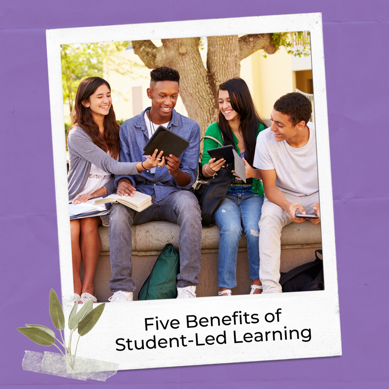 What are the benefits of student-directed learning blog post